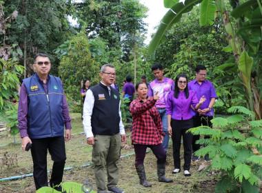 รองอธิบดีฯ ตรวจเยี่ยมแปลงเกษตรของ นายพิษณุ นางบุญเกื้อ ... พารามิเตอร์รูปภาพ 4